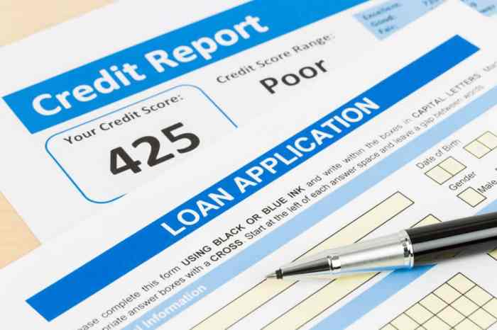 Loans ability