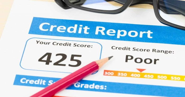 Guaranteed Loans For Bad Credit