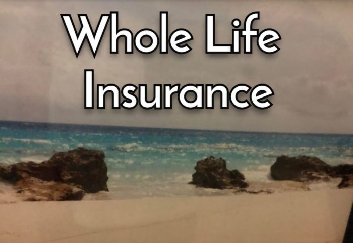 Whole Life Insurance