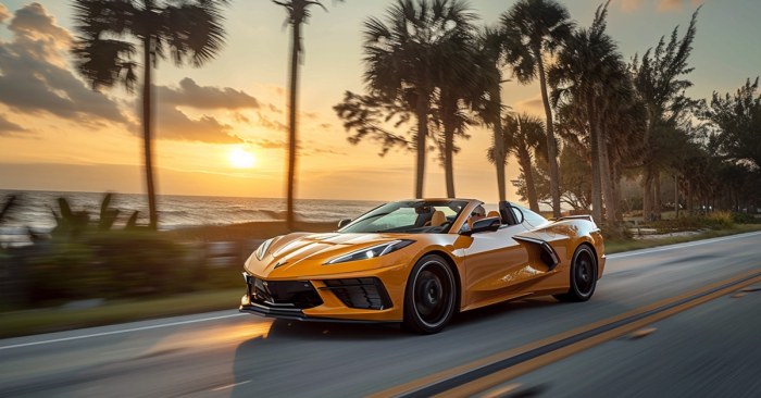Car Insurance Florida