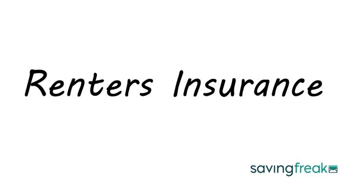 Insurance renters common