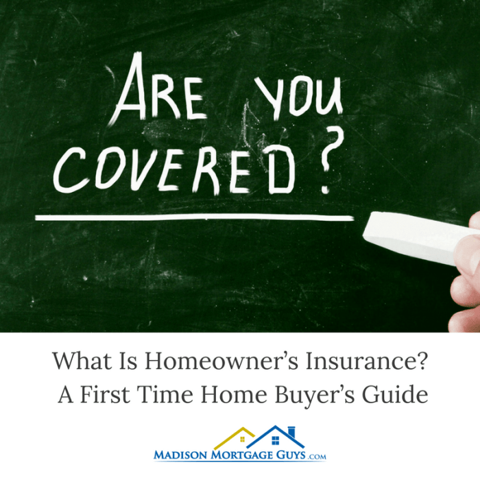Insurance cheaper money